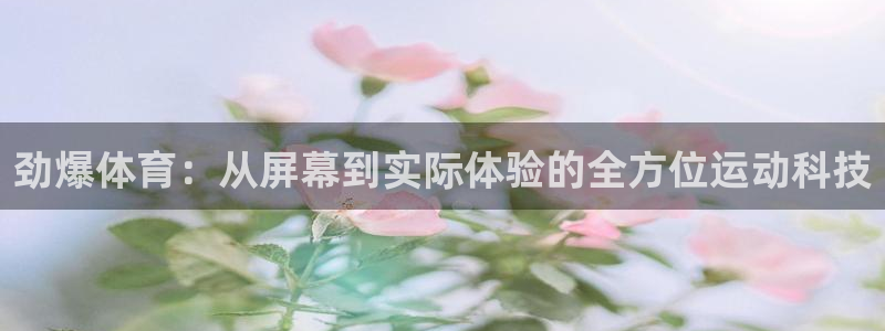 飞球直播nba