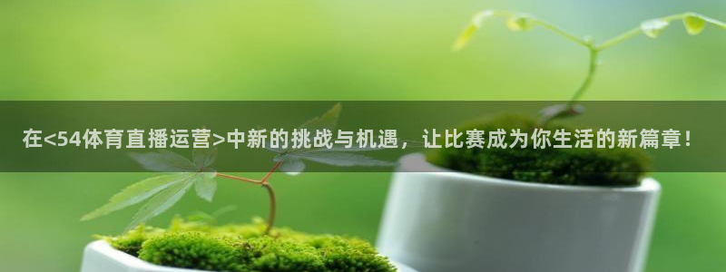 飞球直播软件下载