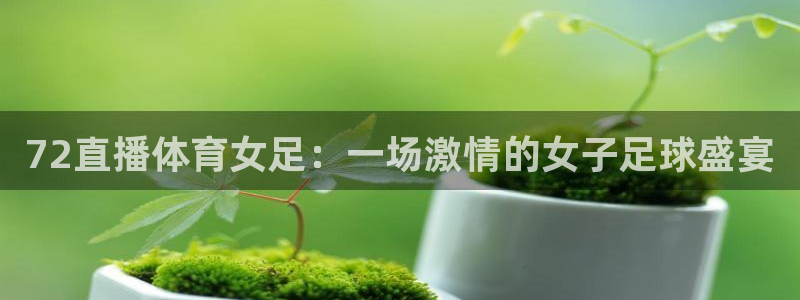 飞球直播网页版下载