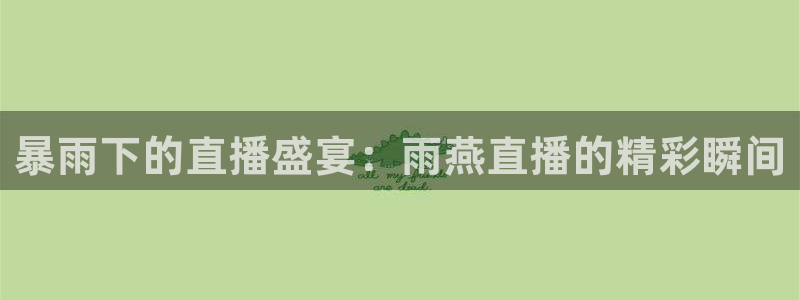 飞球直播吧