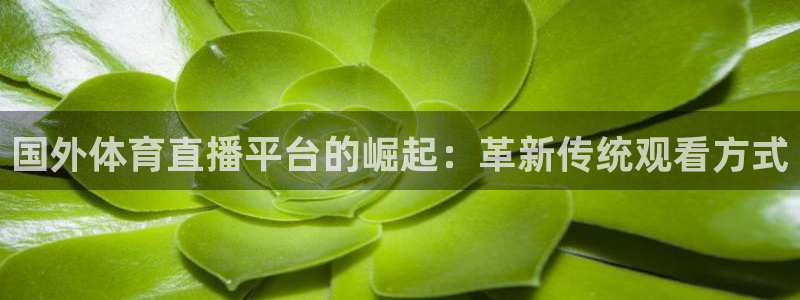 飞球直播网站