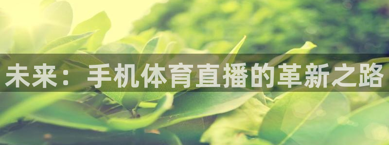 飞球直播免费观看直播在线