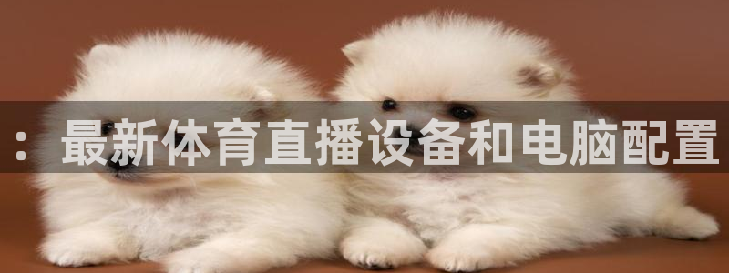 飞球直播下载苹果