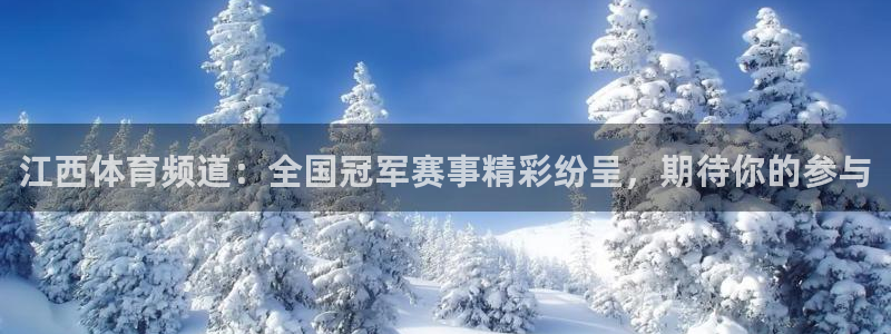 飞球直播官网下载