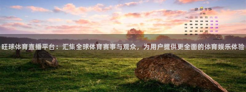 飞球直播软件下载