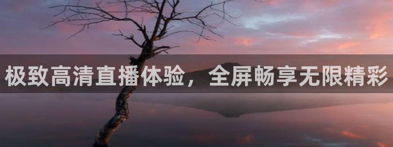 飞球直播app下载安装最新版：极致高清直播体验，全屏畅享无限精彩