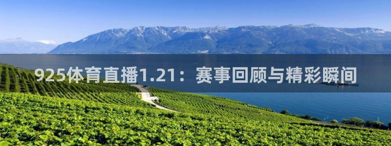 飞球直播账号：925体育直播1.21：赛事回顾与精彩瞬间