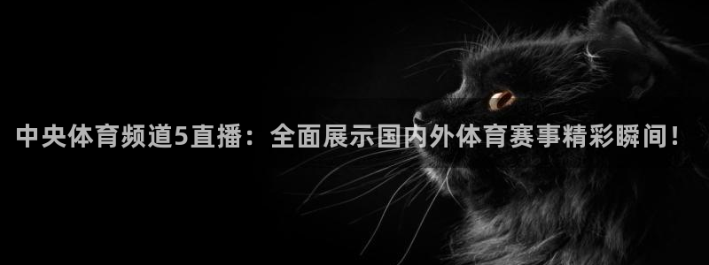 飞球直播官网