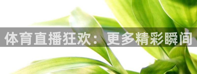 飞球直播app